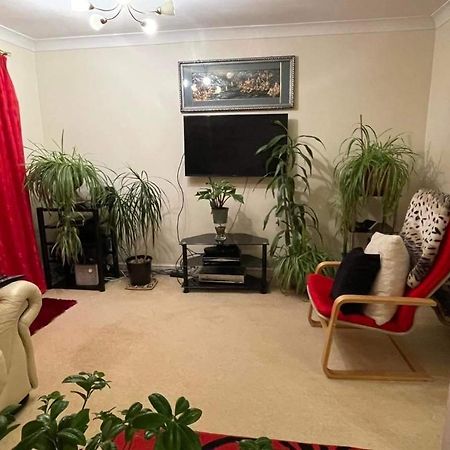Cozy Homestay Кройдон Екстер'єр фото