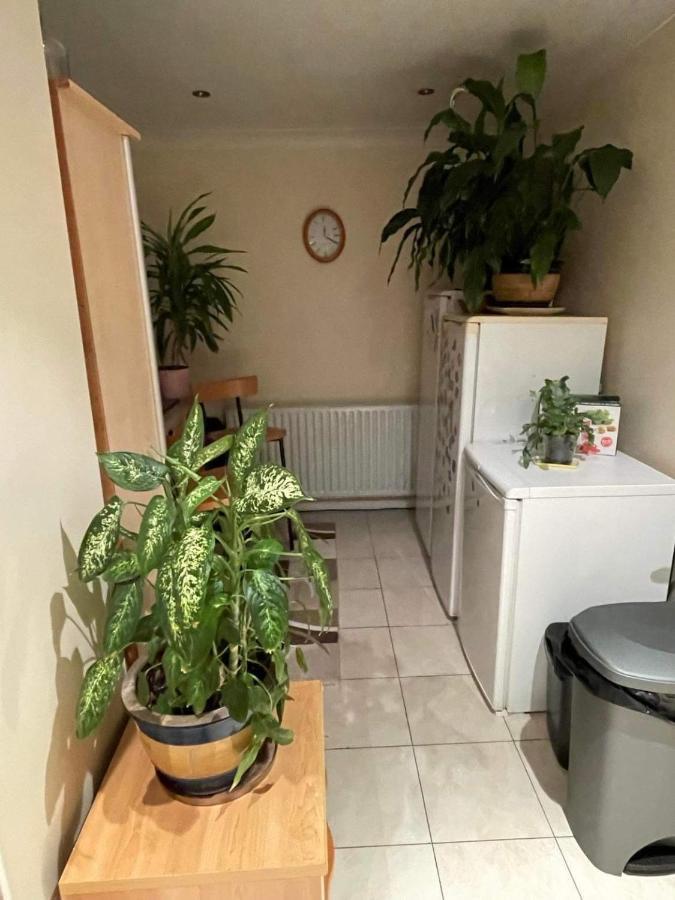 Cozy Homestay Кройдон Екстер'єр фото